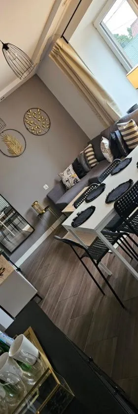 Chelosiowy Apartament Targi Kielce，位于Jaworznia的酒店