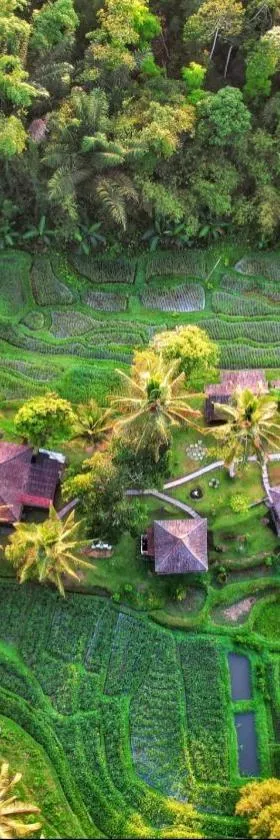 Oemah Tepi Sawah，位于贾蒂卢维的酒店