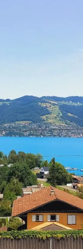 Swiss Apartment Thunersee，位于Einigen的酒店