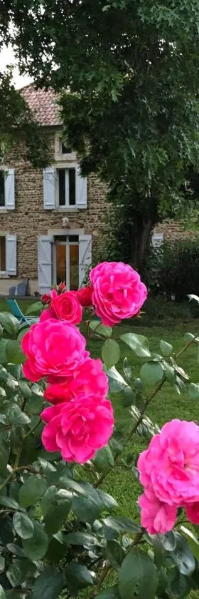 Maison Piffou，位于Malaussanne的酒店