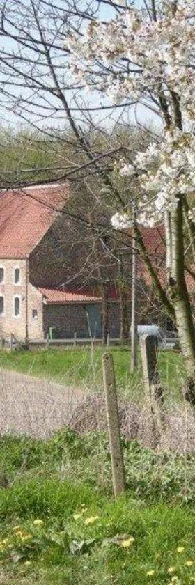 De Verborgen Parel B&B，位于博尔赫隆的酒店