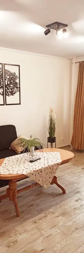 APARTAMENT CENTRUM Międzychód，位于Międzychód的酒店