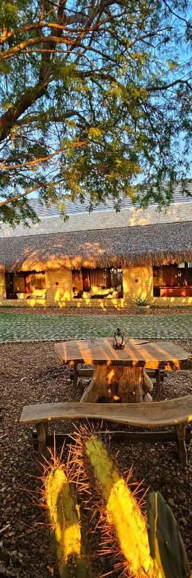 Casa Cactus Praia，位于马考的酒店