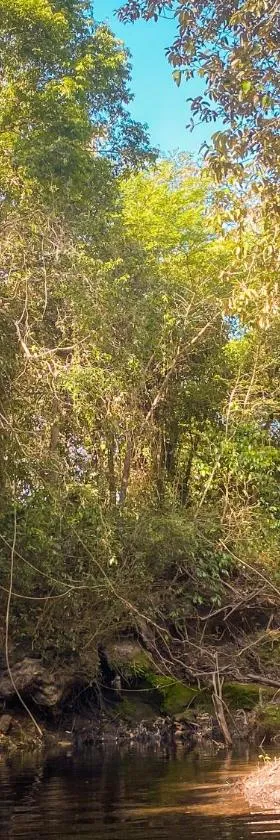 CAMPING em Alto Paraíso de Goias，位于戈亚斯州上帕莱索的酒店
