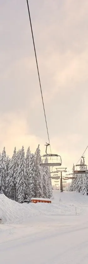 Grey Hotel Kopaonik，位于科帕奥尼克的酒店