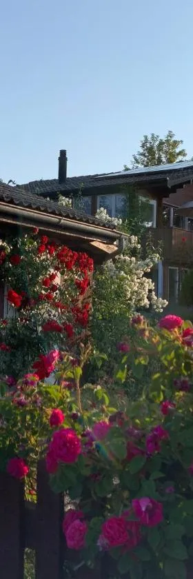 Jolie chambre dans chalet，位于Le Vaud的酒店