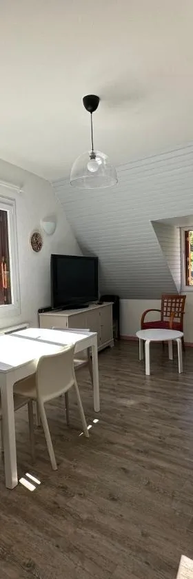 Appartement Bordères-Louron 3 à 5 personnes 3 étoiles, proche Loudenvielle，位于Bordères-Louron的酒店