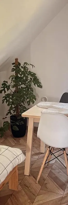 Apartament numer 4 nad jeziorem dla 6 osób，位于Wierzbiny的酒店
