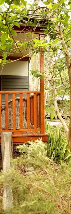 Mt Warning Rainforest Park，位于Mount Warning的酒店