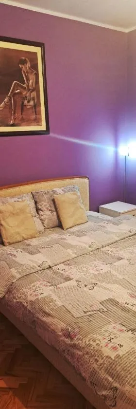 Apartman Žile，位于巴奇卡帕兰卡的酒店