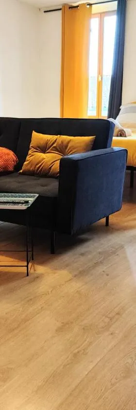 Appartement centre Ville Carmaux，位于Carmaux的酒店