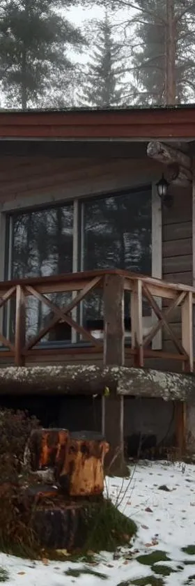 Jokiniemen Matkailu Cottages，位于Tölvä的酒店