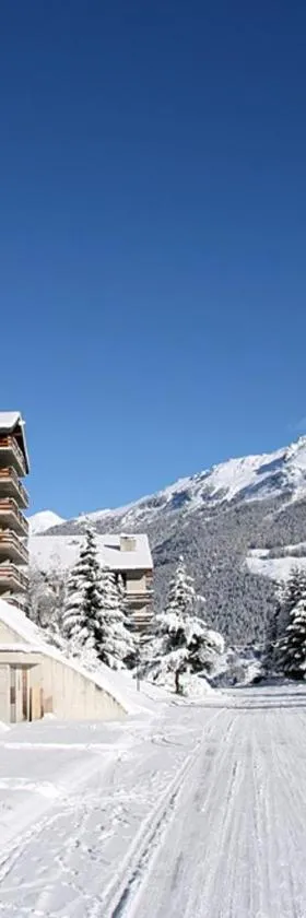 Hôtel Cristal - Swiss Riders Lodge Grimentz，位于格里门茨的酒店