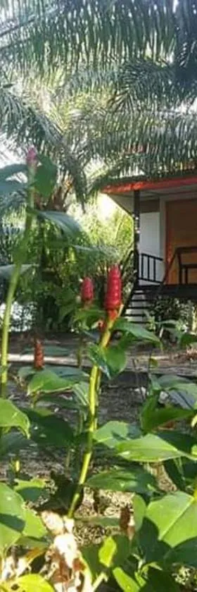 สบายคันทรีรีสอร์ท ปากเมงSa-buy country resort Pak Meng，位于西考的酒店