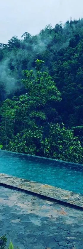 Jansen’s Bungalow Sinharaja Rainforest Retreat，位于Kudawe的酒店