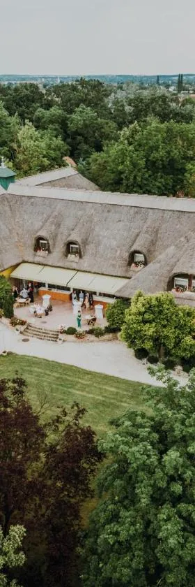 涅格斯温泉高级酒店，位于莫诺尔的酒店