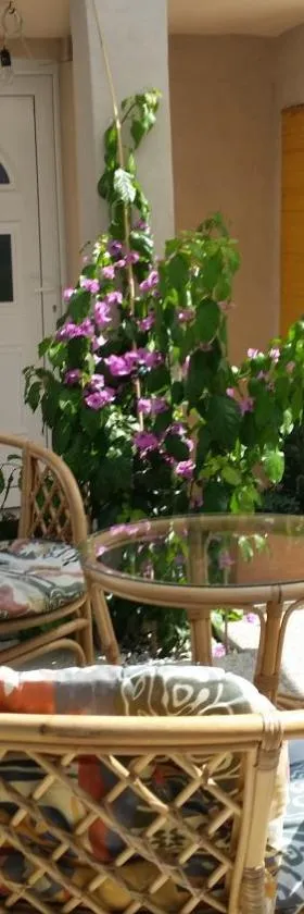 Apartments Mali Raj，位于Vranjic的酒店
