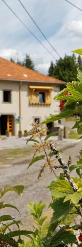 La Ferme de Jean entre lacs et montagnes，位于Saulxures-sur-Moselotte的酒店