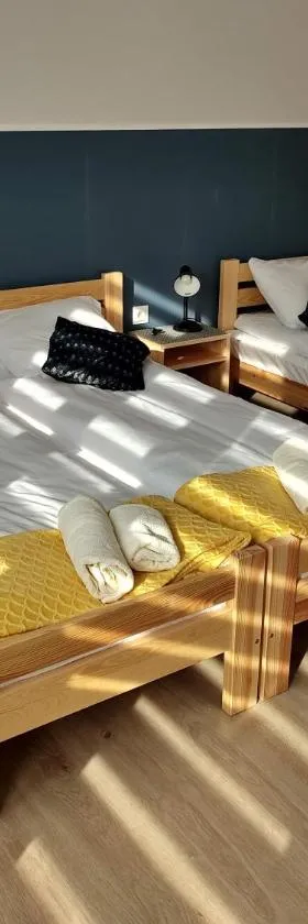 Apartamenty Starosądeckie，位于旧松奇的酒店