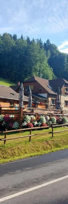 維塞勒利斯奇旅馆，位于Hutisko的酒店