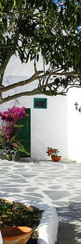 Casa Emerenciana，位于Femés的酒店
