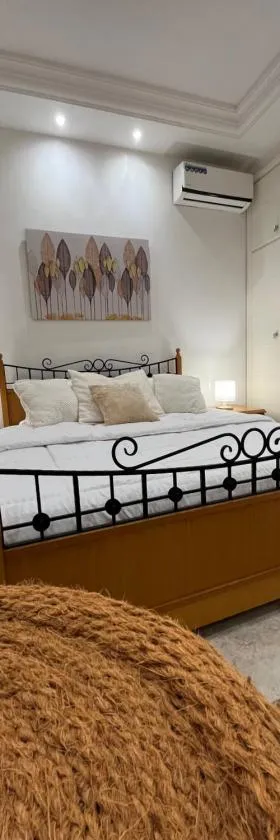 Sublime duplex au Bardo Tunis，位于Le Bardo的酒店