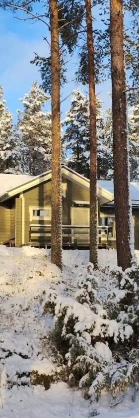 Villa Aleksi with Sauna，位于罗瓦涅米的酒店