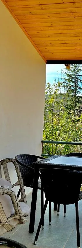 Vaso's Guesthouse，位于Katsʼkhi的酒店