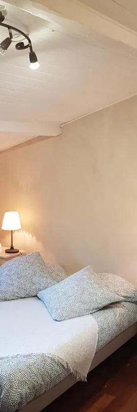 Au Petit Nid de Sanguinet，位于桑吉内的酒店