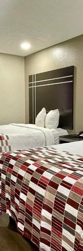 Red Roof Inn & Suites Jackson - Richland，位于里奇兰的酒店