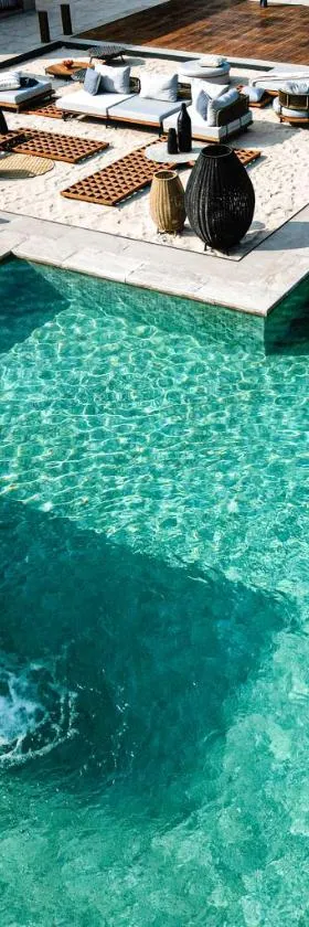 Naturoville Wellness Resort Rishikesh - Surrounded by Nature, Rooted in Wellness，位于Doiwāla的酒店