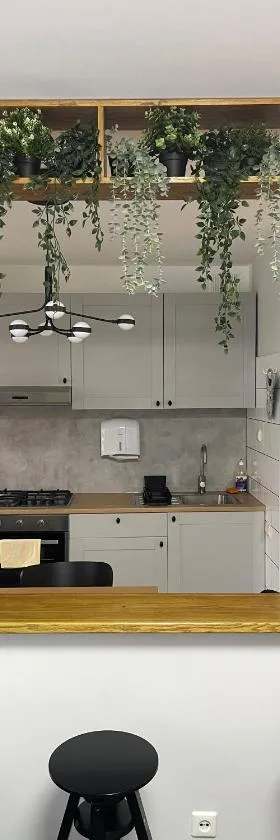 ROTUŠĖS g 23 APARTMENTS IN THE CITY CENTER BIRŽAI，位于比尔扎伊的酒店