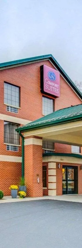 Comfort Suites Pittsburgh Airport，位于科里奥波利斯的酒店