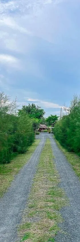 North Pine Forest Homestay บ้านไม้สนโฮมสเตย์，位于Ban Mae Pong的酒店