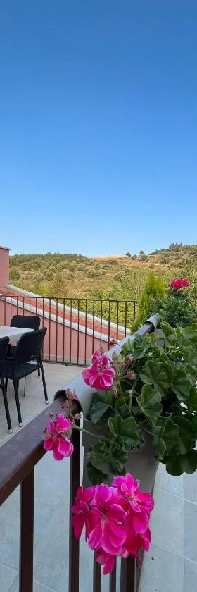 Apartamentos La Flor，位于San Martín de Moncayo的酒店