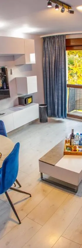 Apartament Książęcy przy Pałacu - klimatyzacja，位于扎甘的酒店