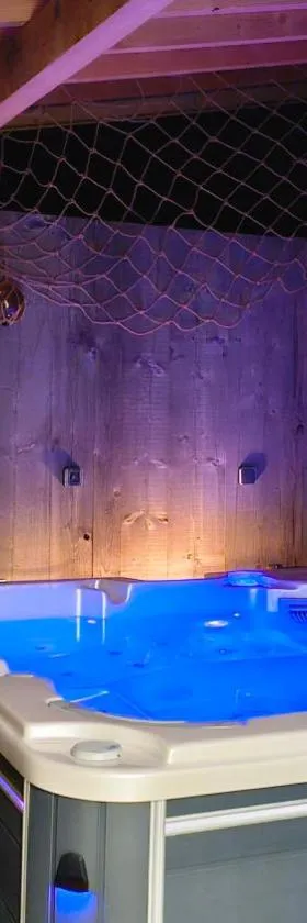 Spa dans les Alpes，位于Desingy的酒店