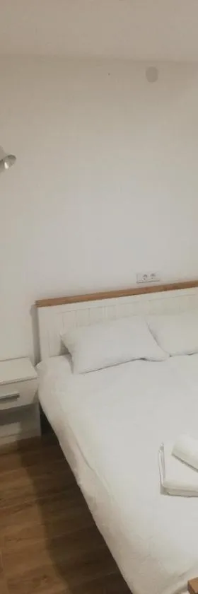 Vila Budimir，位于皮罗特的酒店