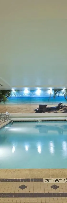 SpringHill Suites by Marriott Chicago O'Hare，位于罗斯芒特的酒店