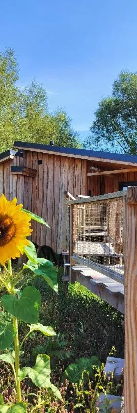 La Cabane d'Ode，位于Sainte-Ode的酒店