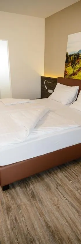 Dorfmeister Business Hotel B&B，位于Weikersdorf am Steinfelde的酒店