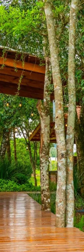 Caravaggio Container Inn (7 min d Caminho d Pedras)，位于法罗皮利亚的酒店