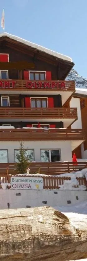 Hotel Alpina，位于格雷兴的酒店