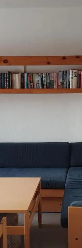 Casa Laudinella 2,5 Zimmer，位于弗利姆斯的酒店