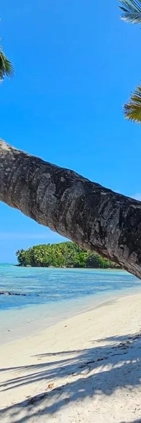 KINTANA LODGE，位于Ile aux Nattes的酒店