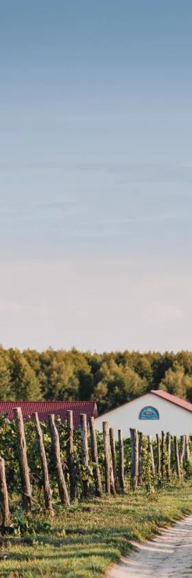 Winnica Mozów，位于Mozów的酒店