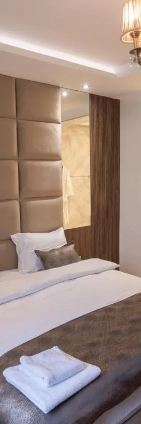 Hotel RAS Pazarište，位于新帕扎尔的酒店