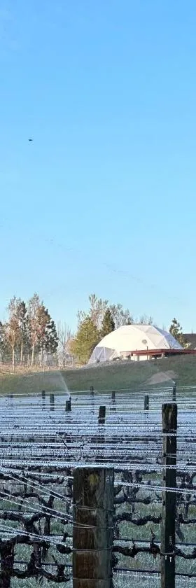 Glamping Dome - Pinot，位于克伦威尔的酒店