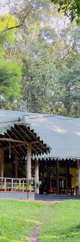 900 Woods Wayanad Eco Resort - A Sprawling Jungle Stay near Glass Bridge，位于麦帕迪的酒店