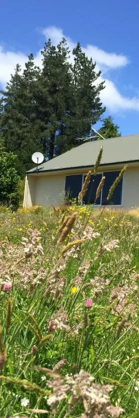 Sunrise Mountain View Cabin Retreat，位于Springfield的酒店